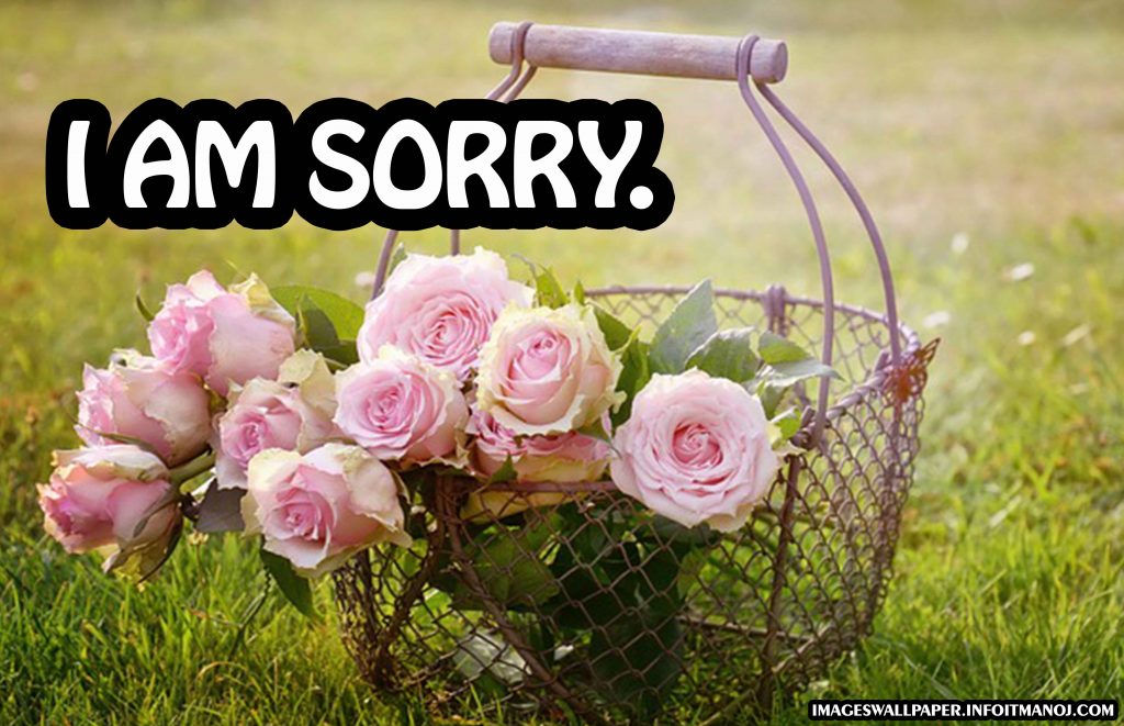 sorry images for bestfriend,girlfriend,boyfriend,lover