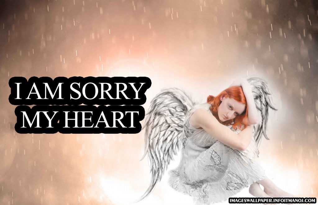 sorry images for bestfriend,girlfriend,boyfriend,lover