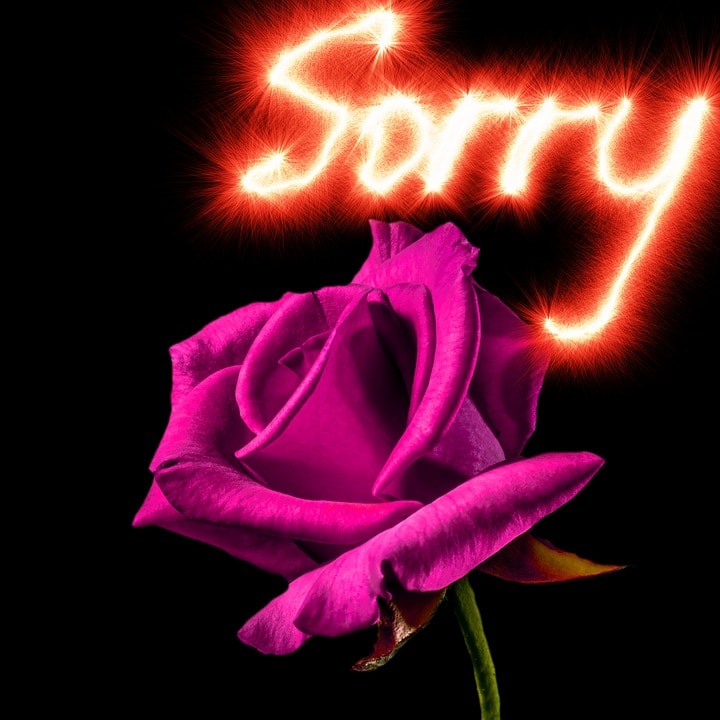 sorry images for bestfriend,girlfriend,boyfriend,lover