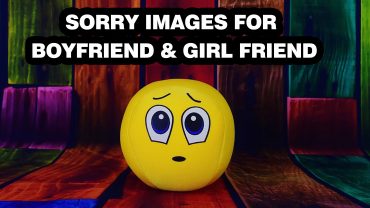 sorry images for bestfriend,girlfriend,boyfriend,lover