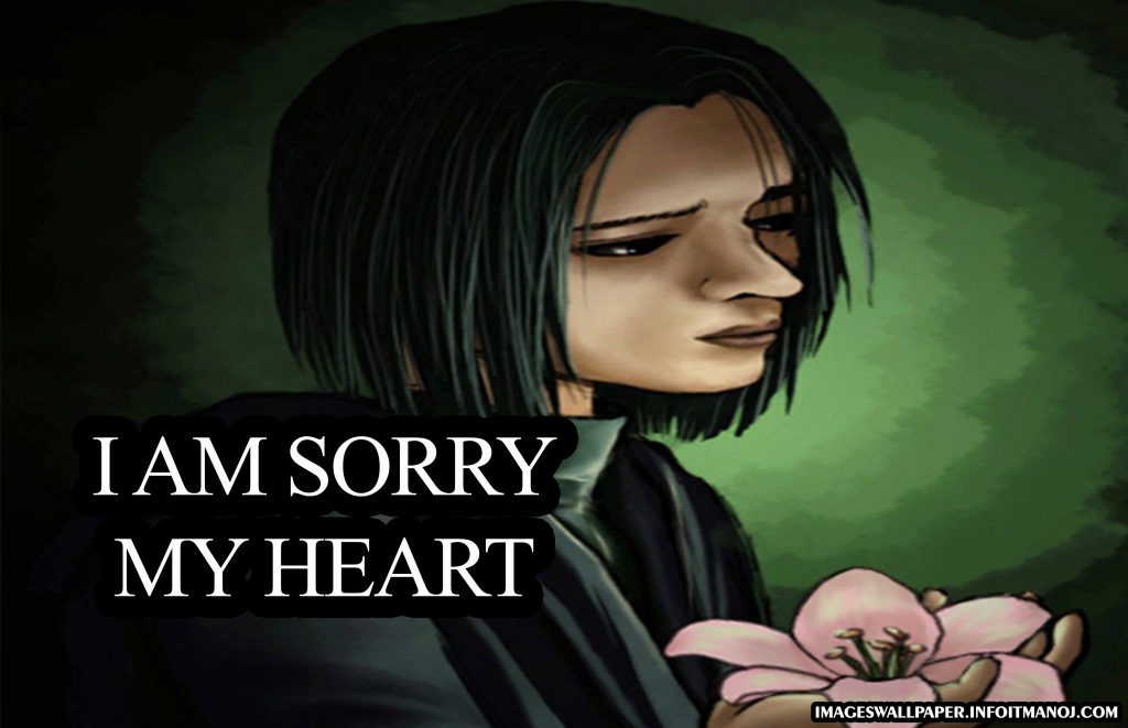 sorry pic for lover,sorry images with quotes,i am sorry image for girlfriend boyfriend