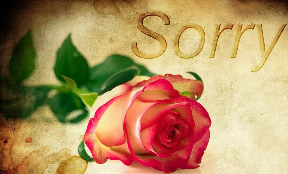 sorry pic for lover,sorry images with quotes,i am sorry image for girlfriend boyfriend