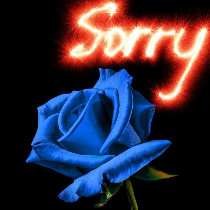 sorry pic for lover,sorry images with quotes,i am sorry image for girlfriend boyfriend